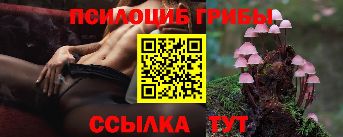 Галлюциногенные грибы прущие грибы Ейск